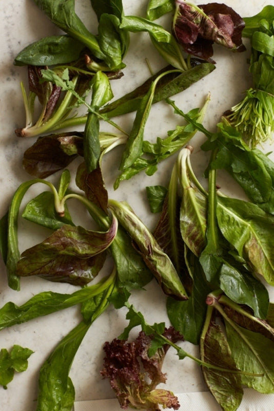 Florentine Mixed Winter Greens Salad from the AUTENTICO Cookbook