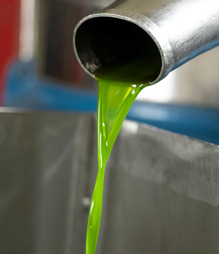 Where to Buy 2020 Olio Nuovo