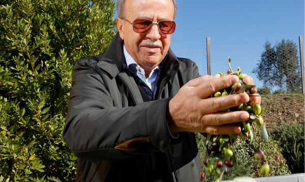 ColleMassari