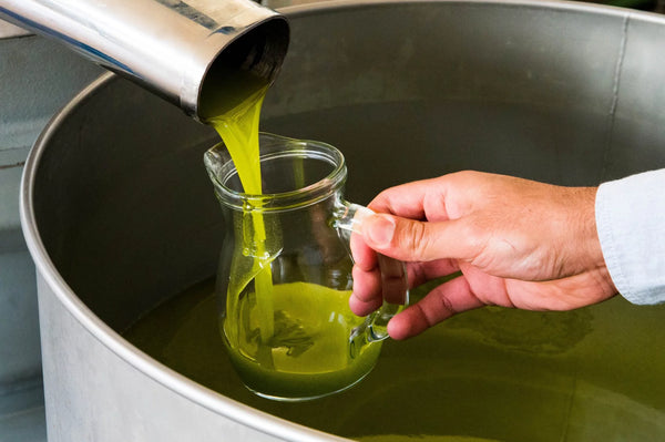 Olio Verde