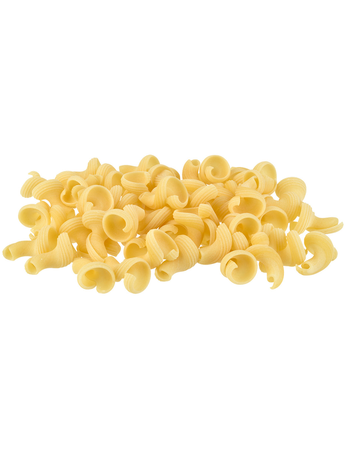 torchio-bulk